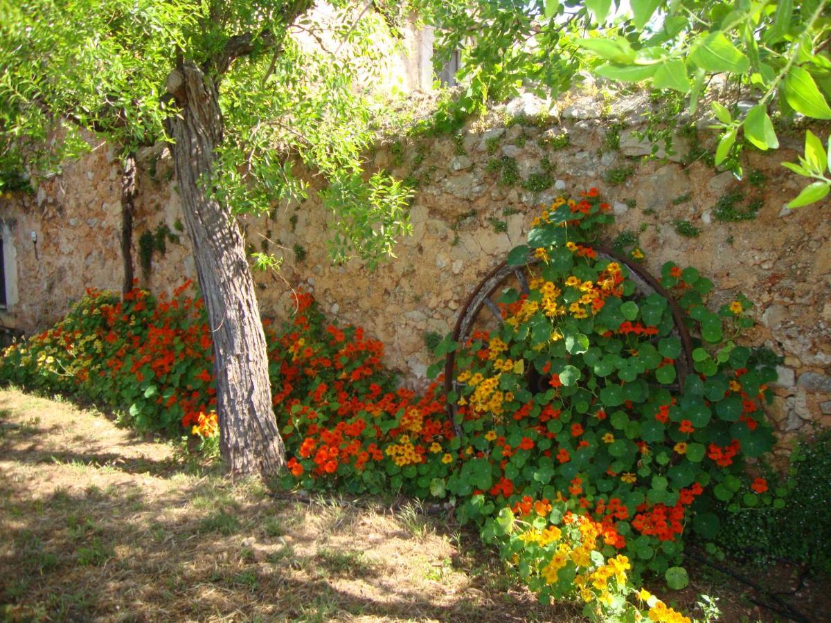 בוחר Agroturisme Son Pons מראה חיצוני תמונה